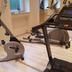 Palestra