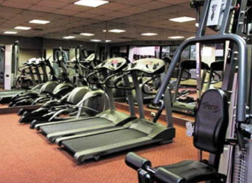 Palestra Foto
