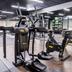 Palestra