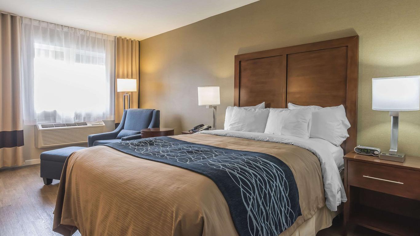 Comfort Inn