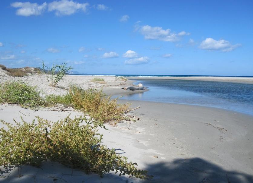 Spiaggia Foto
