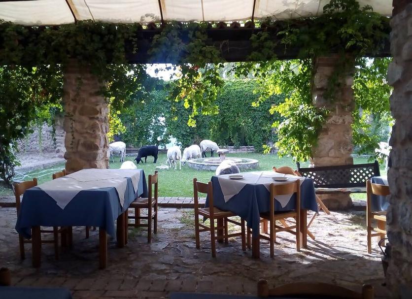 Ristorante Foto