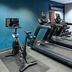Palestra