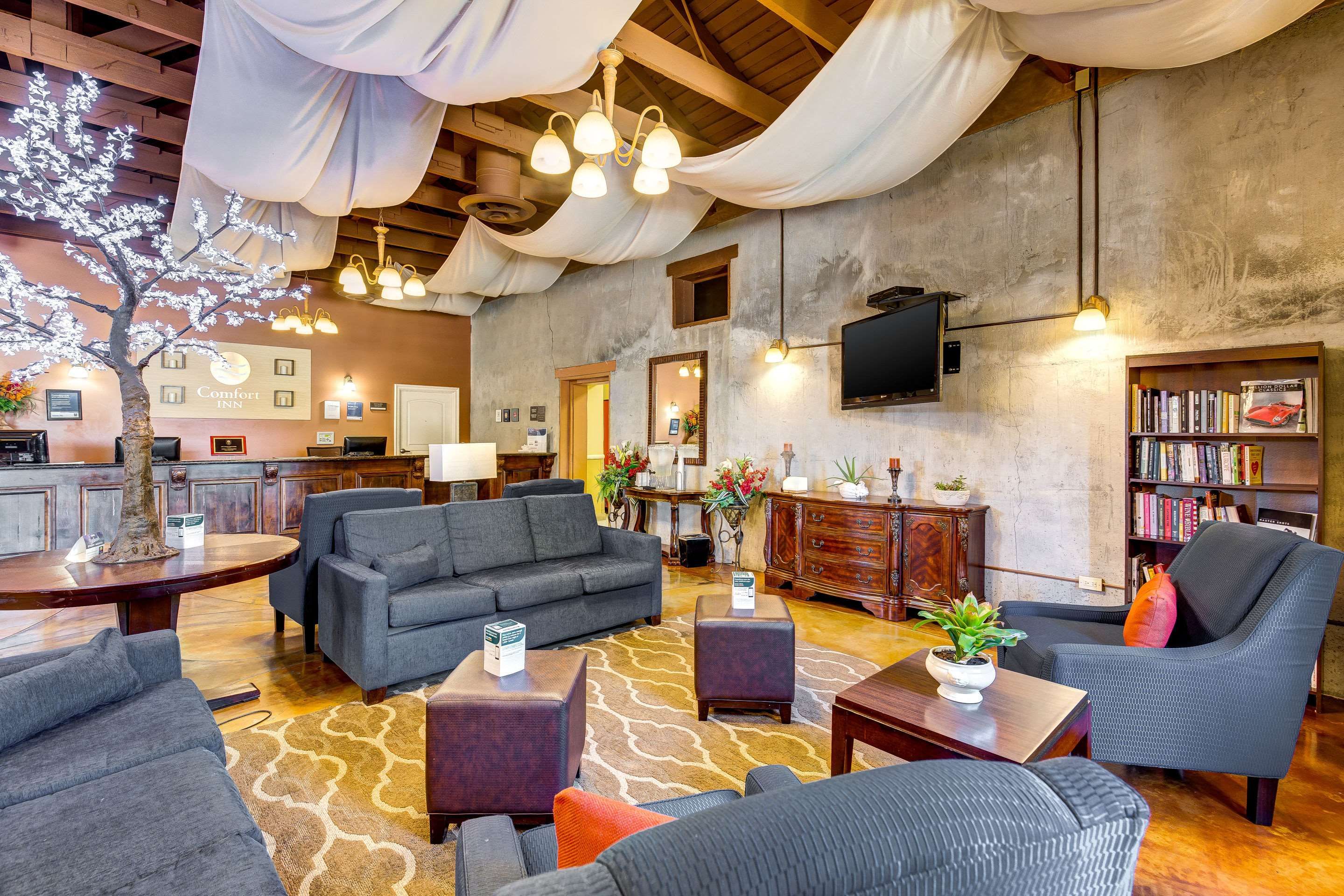 Area lounge