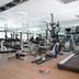 Palestra
