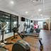 Palestra