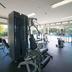 Palestra
