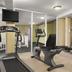 Palestra