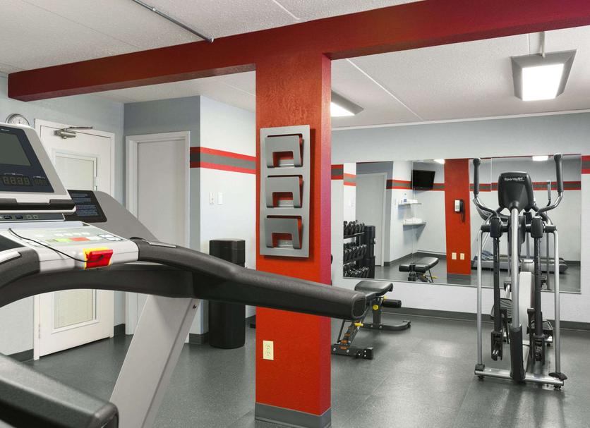 Palestra Foto