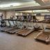 Palestra