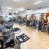 Palestra