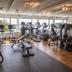 Palestra
