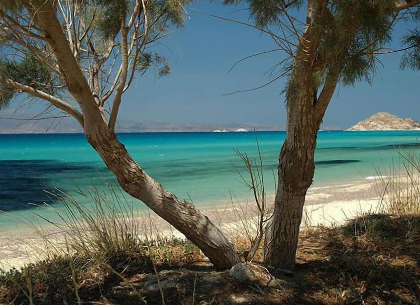 Spiaggia Foto