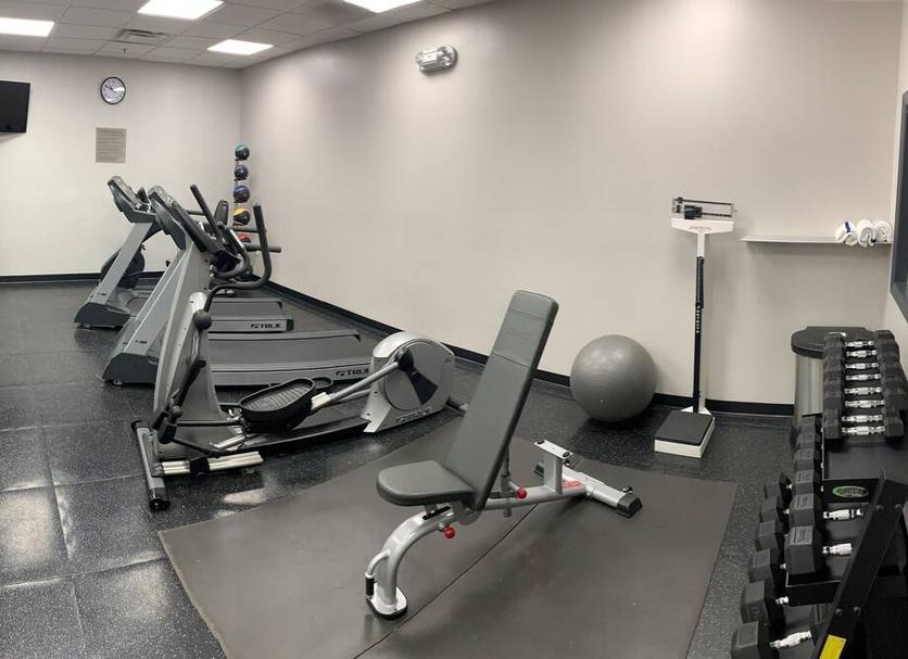 Palestra Foto
