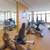Palestra