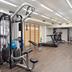 Palestra