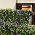 Vista esterna