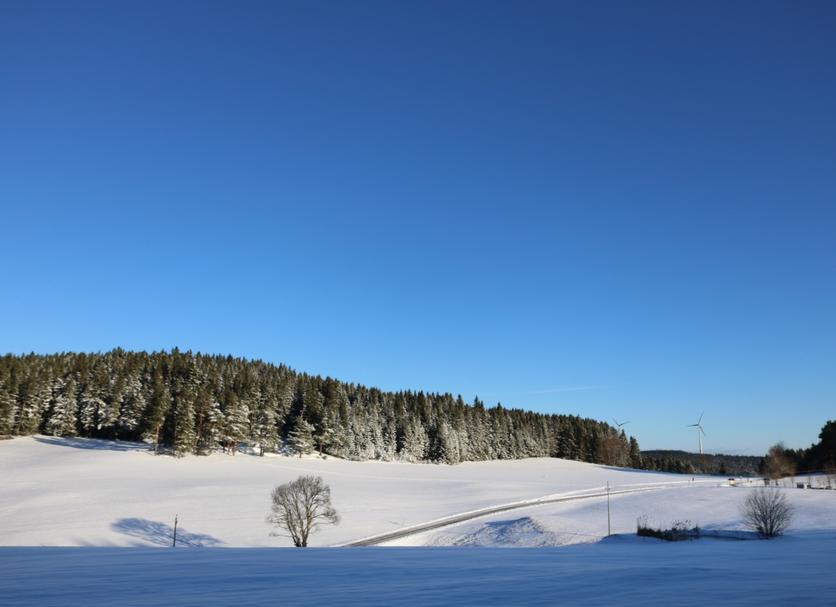 Vista esterna Foto
