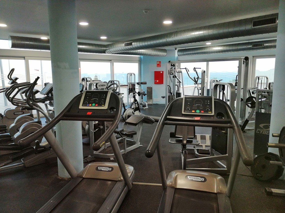 Palestra