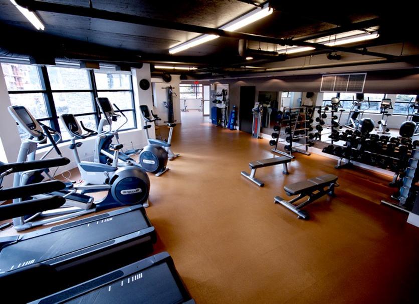 Palestra Foto