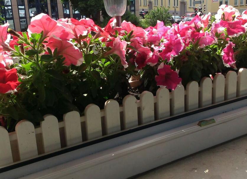 Balcone Foto