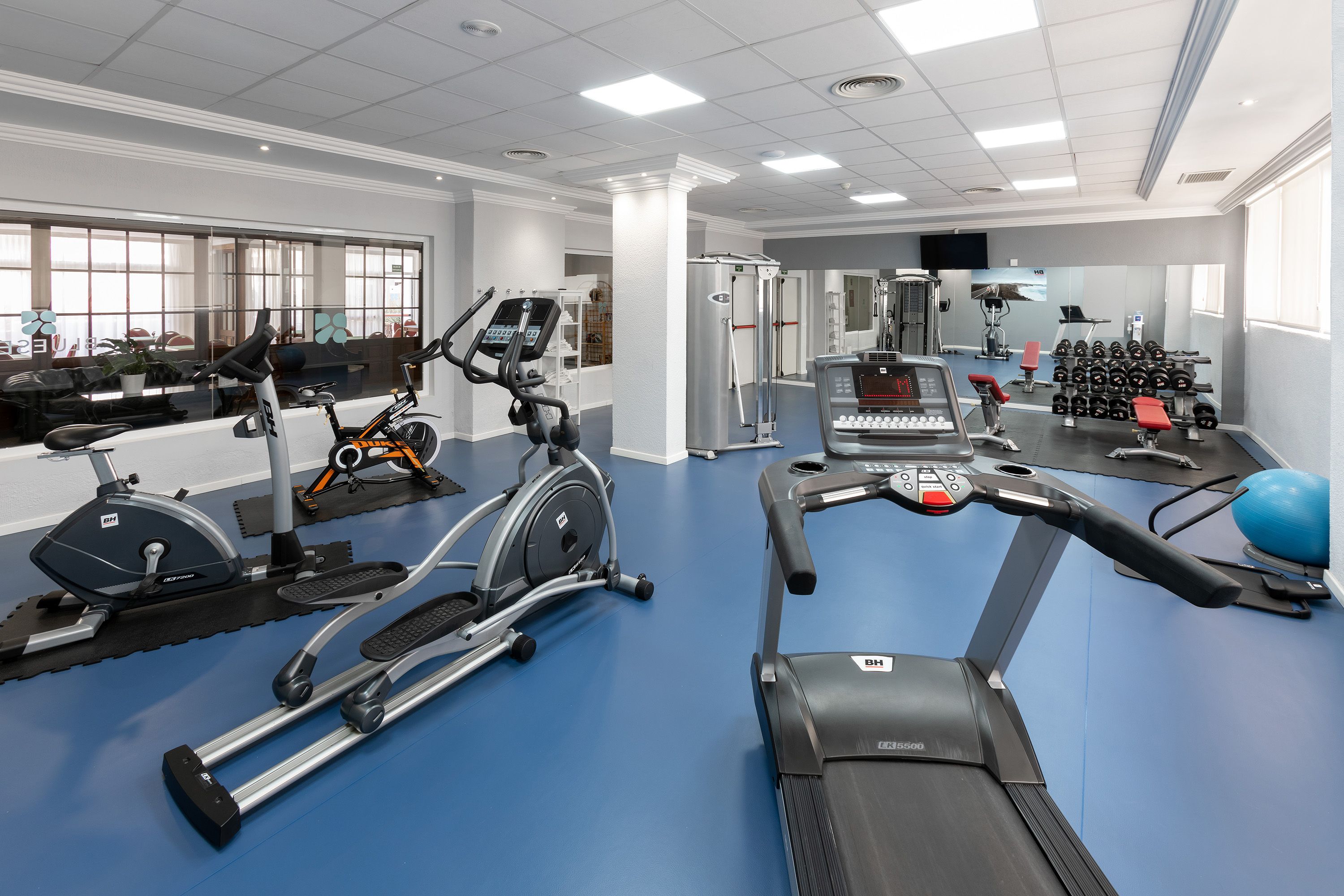 Palestra