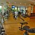 Palestra