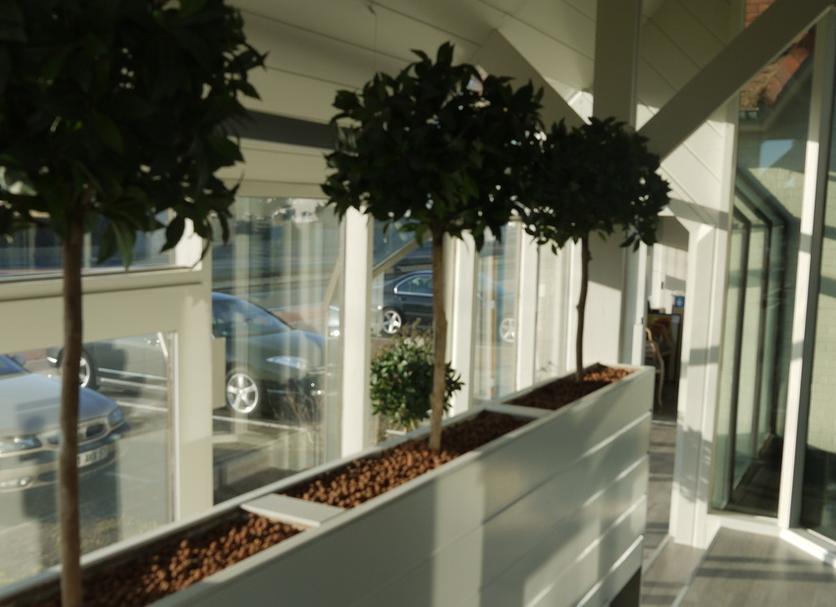 Ingresso dell'hotel Foto