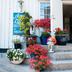Ingresso dell'hotel