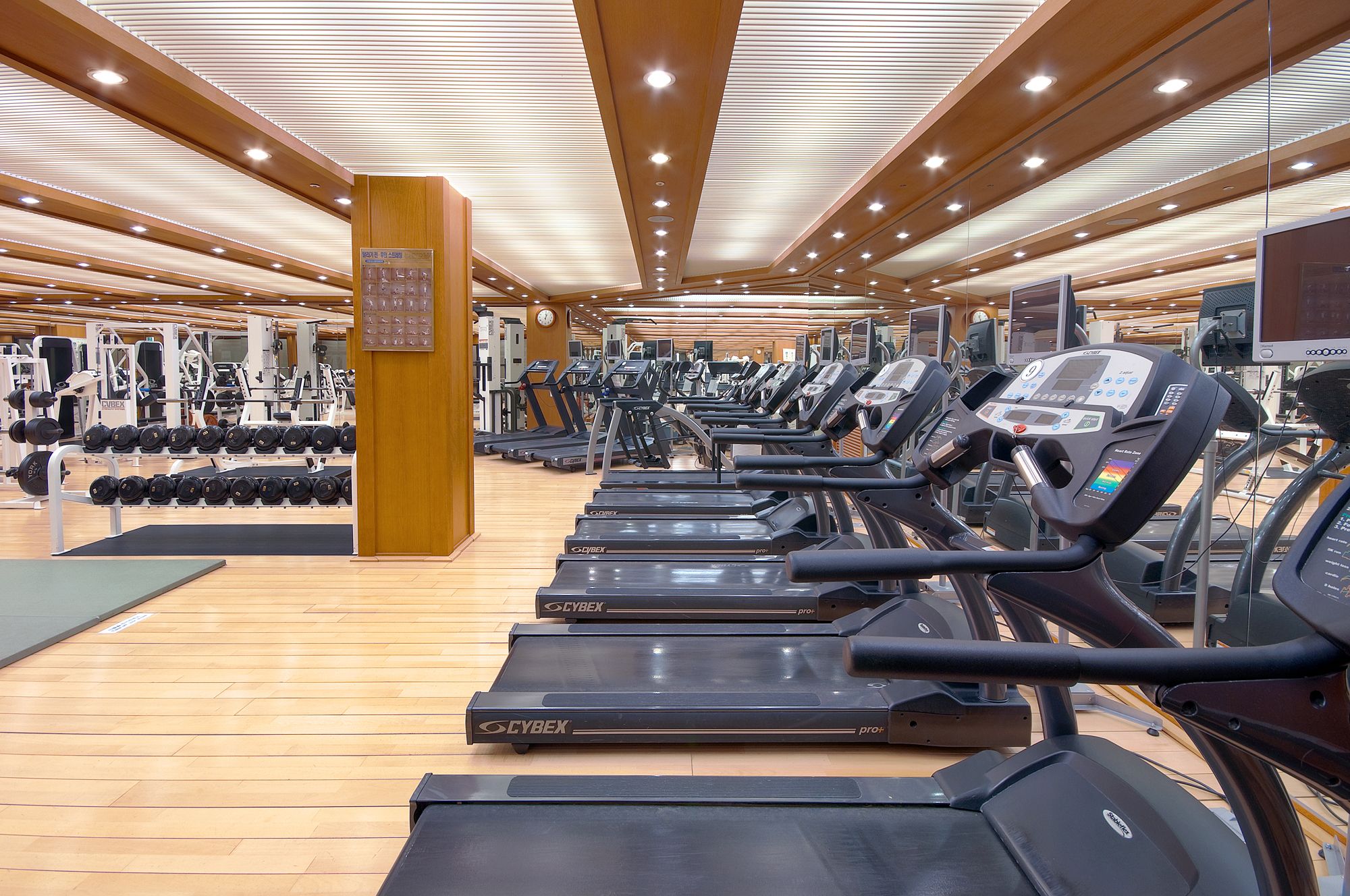 Palestra