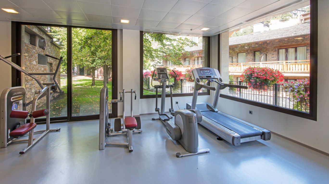 Palestra
