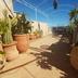 Terrazza