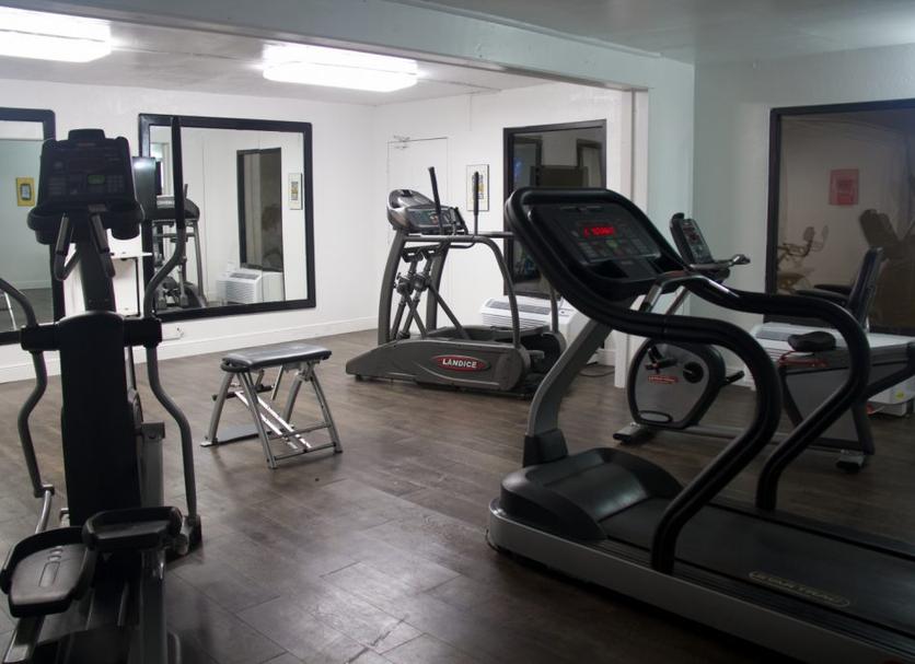 Palestra Foto