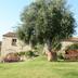 Vista esterna