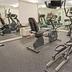 Palestra
