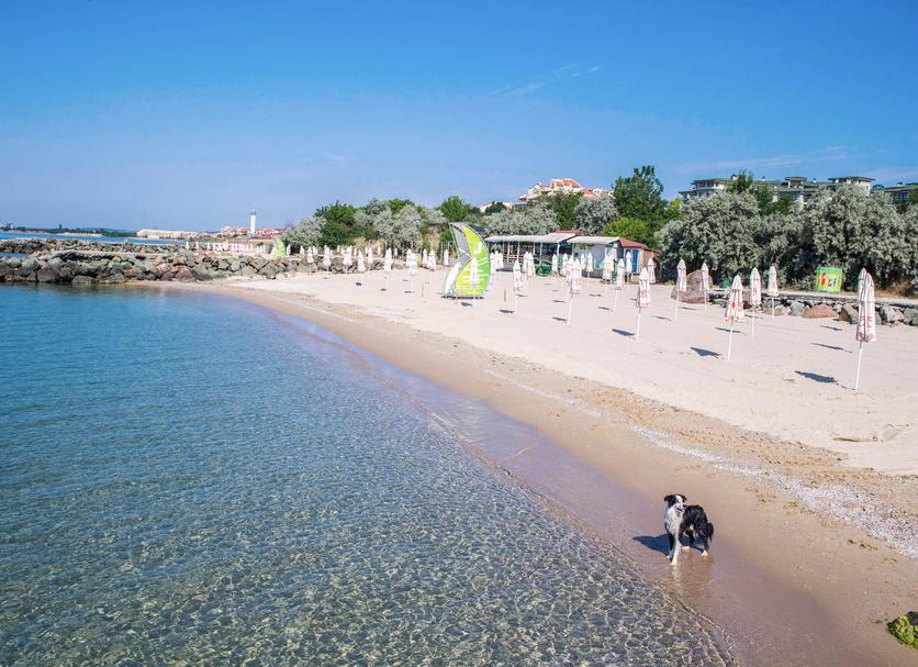 Spiaggia Foto