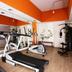 Palestra