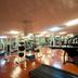 Palestra