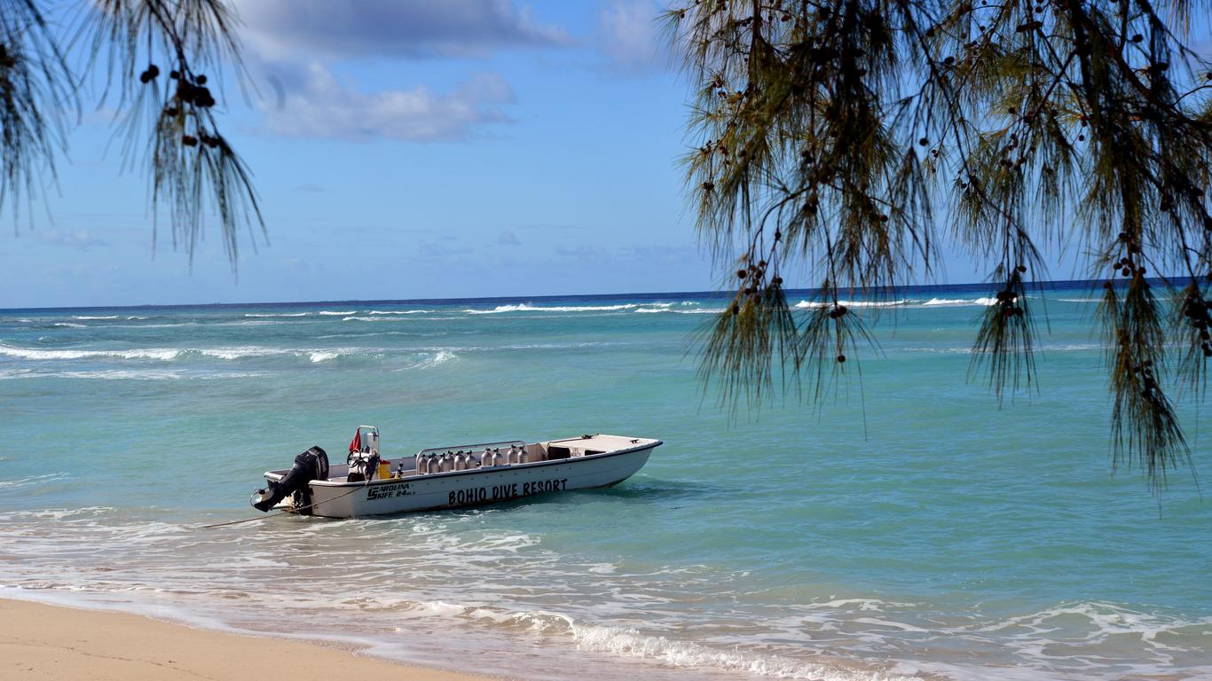 Bohio Dive Resort