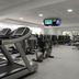 Palestra