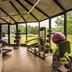 Palestra
