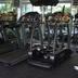 Palestra