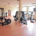 Palestra