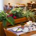 Sala pranzo