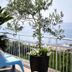 Vista esterna