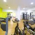 Palestra