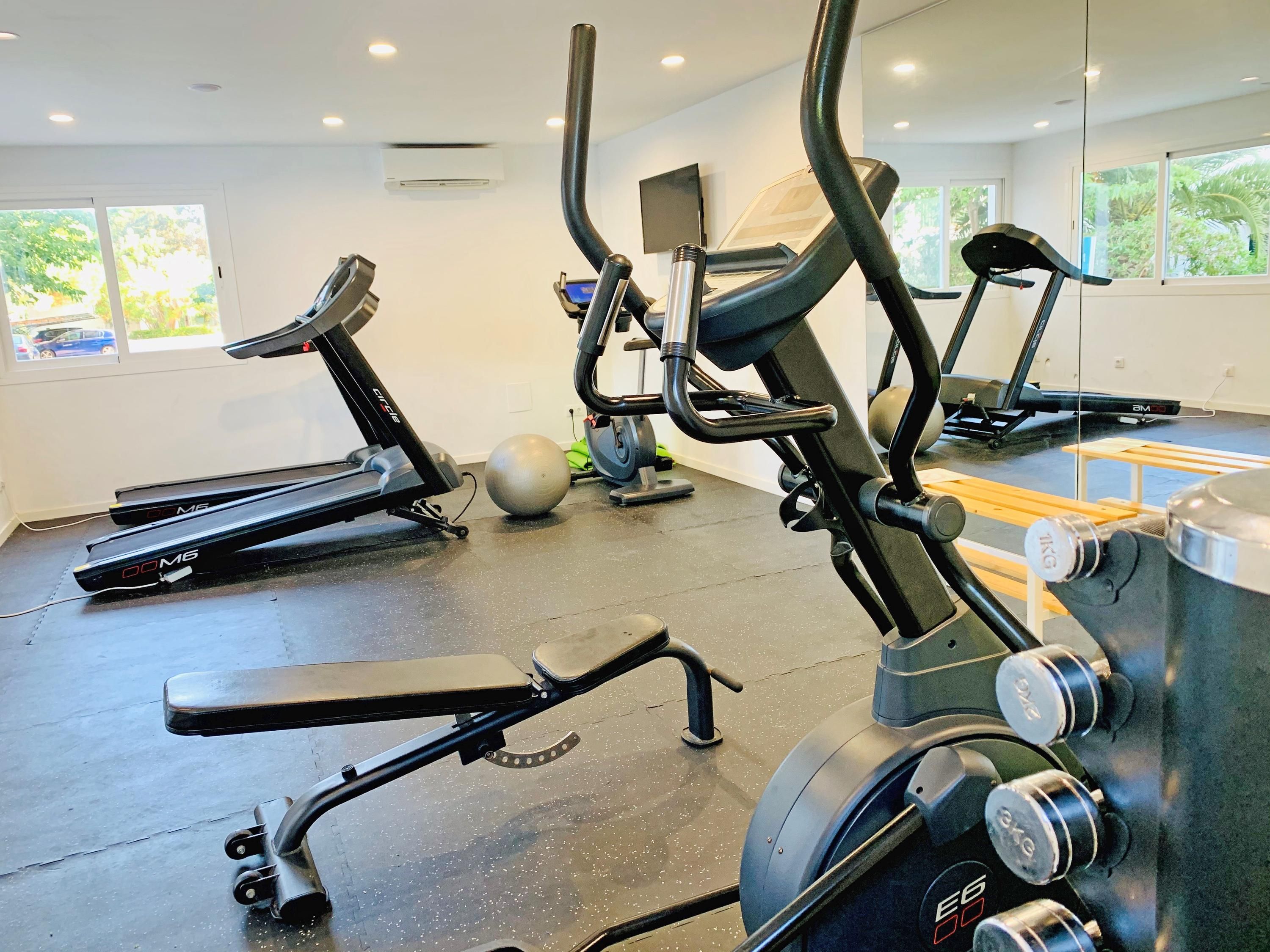 Palestra