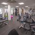 Palestra
