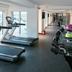 Palestra