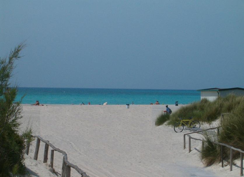 Spiaggia Foto